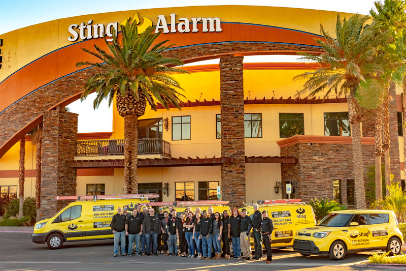 sting-team sting-team